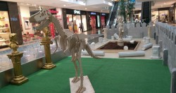 IMG-20160716-WA0002